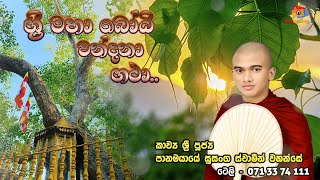 sri maha bodhi wandana gatha  ශ්‍රි මහා බෝධි වන්දනා ගථා [upl. by Padgett]