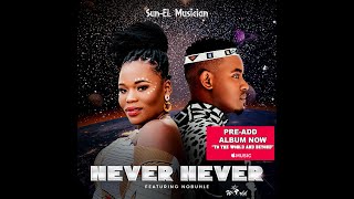 SunEL Musician Feat Nobuhle  Never Never Official Audio [upl. by Feltie769]