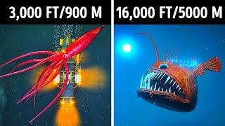 Fascinating 3D Journey to the Ocean Depths [upl. by Ariam]