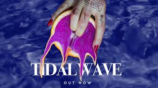 Chase Atlantic  Tidal Wave Official Lyric Video [upl. by Aneehc903]