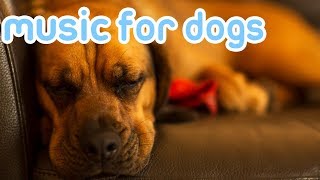 10 HOURS Deep Separation Anxiety Music for Dogs Chill Your Dog 247 [upl. by Ardnosal]