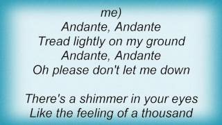 Abba  Andante Andante Lyrics [upl. by Annaitat336]