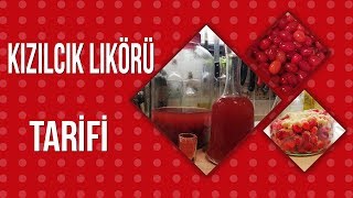 Kızılcık Likörü Nasıl Yapılır  Cornus Mas Liquer Recipe [upl. by Judy]