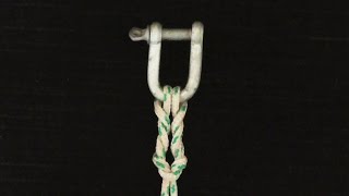 How To Tie A Cats Paw Knot [upl. by Yxel]