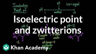 Isoelectric point and zwitterions  Chemical processes  MCAT  Khan Academy [upl. by Assiron]