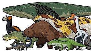 PREHISTORIC LIFE  Animated Size Comparison [upl. by Dewitt]