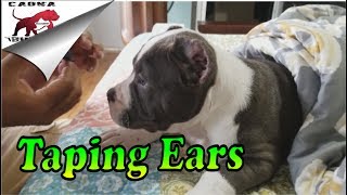 Types of ear discharge Colour Smell amp its meaning  Dr Harihara Murthy  Doctors Circle [upl. by Washburn]