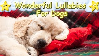 Music For Puppies ♫ Relax Your Dog Effectively Within Minutes [upl. by Airamahs]