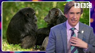 Alan Partridges tragically hilarious animal impressions  BBC [upl. by Yelyr]