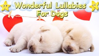 Soft Sleep Music For Puppies ♫ Calm Your Labrador Dog Instantly [upl. by Infield]