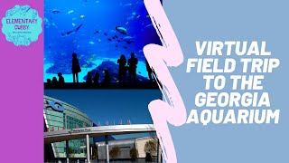 Georgia Aquarium Virtual Field TripTour [upl. by Cappella897]