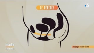 Le périnée  comment le rééduquer [upl. by Garmaise]