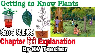 PART1 Getting To Know Plants  Class6 SCIENCE NCERT Chapter 7 हिन्दी Explanation ByKV Teacher [upl. by Laerol]