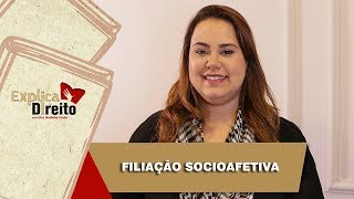 Explica Direito Filiação Socioafetiva  2019 [upl. by Chrissie]