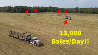 Family Farm with MASSIVE Hay Production 13000 balesday [upl. by Lehmann110]