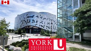 York University Campus Full Tour 2024 [upl. by Dammahum]