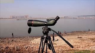 Svbony SV408 2060X80 Spotting Scope [upl. by Anaoy129]