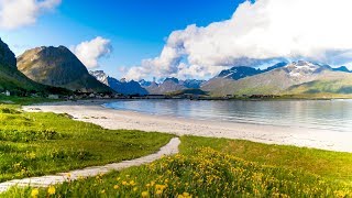 Uplifting Music  light positive happy music Gullrosøya  1 hour [upl. by Zoie]