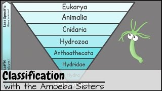 Classification [upl. by Schouten611]