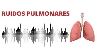 AUSCULTACIÓN PULMONAR ruidos normales y anormales [upl. by Eelam]