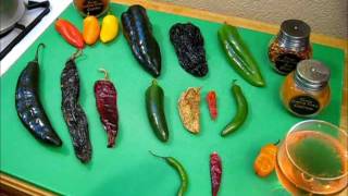 All About Chilies What you need to know S1 Ep177 [upl. by Nil]