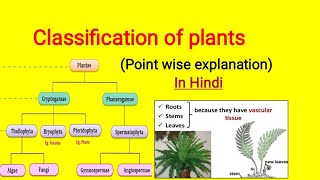 Classification of plants in Hindi  Cryptogam and Phanerogam plantclassification [upl. by Elah]