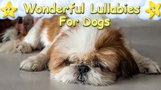 Super Relaxing Music For Shih Tzu Dogs And Puppies ♫ Relax Your Pet ♥ [upl. by Ahtar]