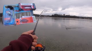 A Fun Estuary Fishing Challenge  Lure Tips amp Techniques [upl. by Jessy396]