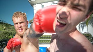 I Boxed Jake Paul over 90000 Couches painful  Episode 3 [upl. by Falk276]