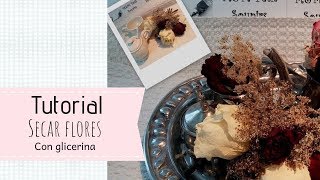 Secar flores con glicerina DIYDrying flowers with GLYCERINE DIY干花 [upl. by Niwled802]