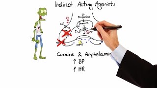 Pharmacology  ADRENERGIC RECEPTORS amp AGONISTS MADE EASY [upl. by Ylaek]