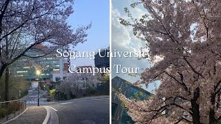 Sogang University Campus Tour  cherry blossoms daynight [upl. by Oilenroc515]