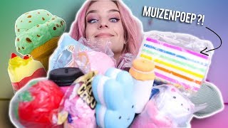 TEVEEL ALIEXPRESS SQUISHIES  MUIZENPOEP [upl. by Hun]