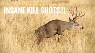 TOP 44 BEST HUNTING KILL SHOTS BOW AND RIFLE [upl. by Onivag]