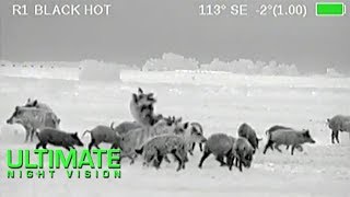 Wild Boar Hunting in Texas  40 Hogs Down with the Armasight Zeus Thermal Scope [upl. by Anerbas389]