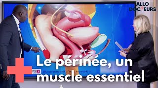 Comment protéger votre périnée   Allo Docteurs [upl. by Itnava]