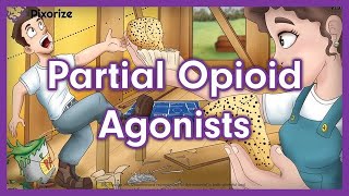 Partial Opioid Agonists Mnemonic for USMLE [upl. by Skippie]