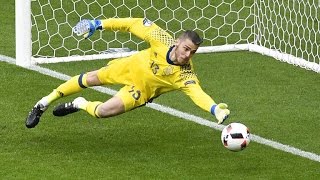 Best Goalkeeper Saves ● Euro 2016 [upl. by Resa]