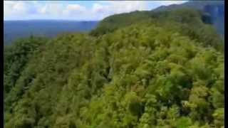 Expedition Borneo Episode 1 Documentary [upl. by Ztnaj]