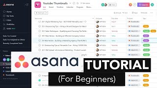 Asana Tutorial For Beginners  Project Management Software [upl. by Nanfa]