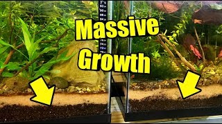 The PERFECT Soil For Aquarium Plants and Planted Tanks [upl. by Eillam]