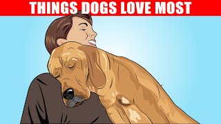 15 Things Dogs Love the Most [upl. by Tonia923]