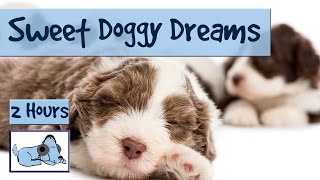 25 HOURS of Sweet Doggy Dreams Music Send your Dog to Sleep with this Music [upl. by Lehman]