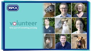 RSPCA Volunteer [upl. by Thorncombe]