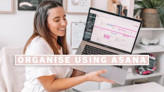 how i organise and plan using Asana [upl. by Eladnor]