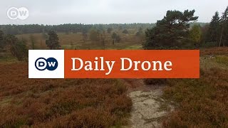 DailyDrone Lüneburger Heide Büsenbachtal [upl. by Hanzelin]