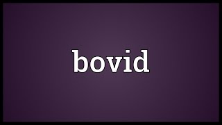 Bovid Meaning [upl. by Radnaskela]