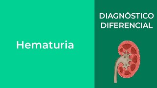 Diagnóstico Diferencial Hematuria [upl. by Haroved514]