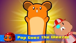 Pop Goes The Weasel  Nursery Rhymes For Kids  JellyBug [upl. by Melisande]