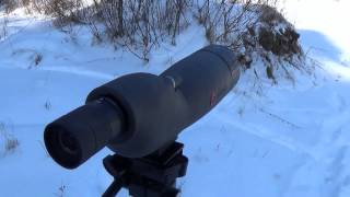 Simmons 2060x60mm Spotting Scope quotWhy you need onequot [upl. by Aridan]